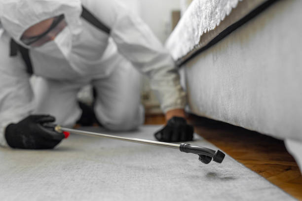 Professional Termite Control technician working in Lone Pine, CA