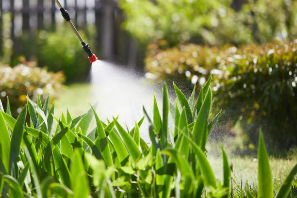 24/7 Emergency Termite Control experts in Lone Pine, CA