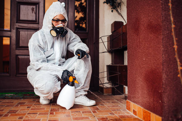 Reliable Termite Control contractor in Lone Pine, CA by Nex Pest Control
